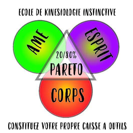 Ecoel de kinésiologie